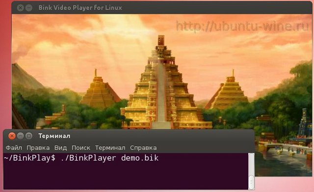 Play bik file on Ubuntu
